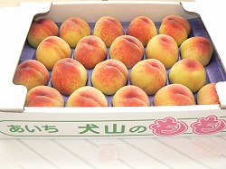 Tv摜